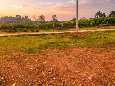 Da Le Land Tài Sản Thật, Giá Trị Bền Ưu Đãi 30 Triệu Cho 1 Lô 3