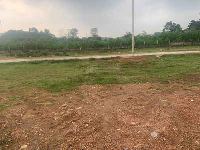 Da Le Land Tài Sản Thật, Giá Trị Bền Ưu Đãi 30 Triệu Cho 1 Lô 1