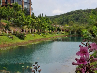 Đất nền nghỉ dưỡng view hồ tảo hồng duy nhất tại bảo lộc giá rẻ bất ngờ 5