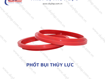 Duy Lập đơn vị chuyên phân phối sỉ, lẻ các loại phốt ben thủy lực tại Đồng Nai 1