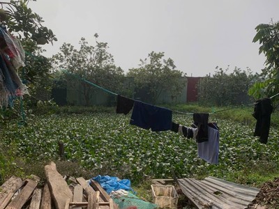 Cần bán đất ruộng 1000m2, mt25m, có nhà lán tạm, công trình phụ, 1.65 tỷ, bắc hồng, đông anh. 2