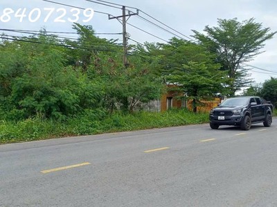 Cần bán lô đất mặt tiền đường hồ văn tắng, xã tân thạnh đông, củ chi, hcm 0