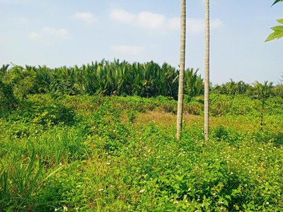 Chủ kẹt tiền cần bán lô đất tại mt đường dx 017 có 1000 m đất ở., cẩm thanh giá 18 tỷ 2