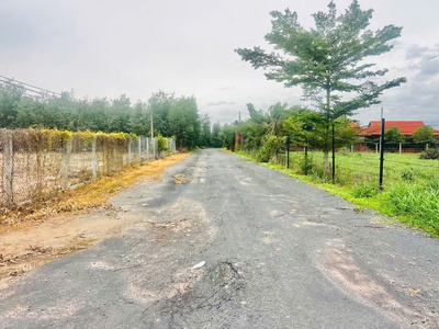 1000m bình châu 390tr . giá công chứng luôn nhe 1