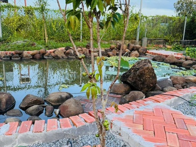Cần bán nhà vườn nghĩ dưỡng gân hồ suối môn 2