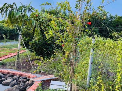 Cần bán nhà vườn nghĩ dưỡng gân hồ suối môn 3