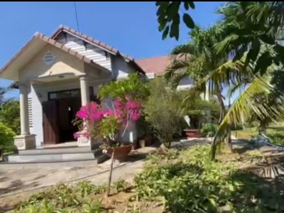 Chính chủ bán đất tặng nhà vườn thanh long hàm trí , hàm thuận bắc, bình thuận 1