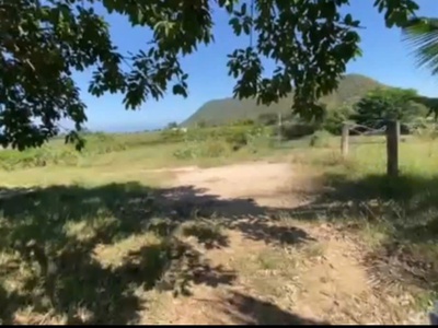 Chính chủ bán đất tặng nhà vườn thanh long hàm trí , hàm thuận bắc, bình thuận 2