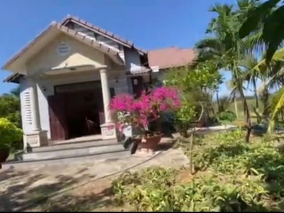 Chính chủ bán đất tặng nhà vườn thanh long hàm trí , hàm thuận bắc, bình thuận 0