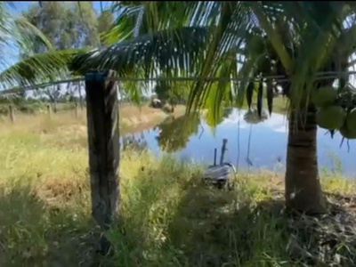 Chính chủ bán đất tặng nhà vườn thanh long hàm trí , hàm thuận bắc, bình thuận 3