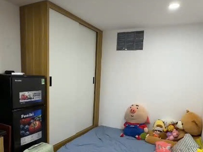 Cho thuê phòng trọ khép kín tại mỹ đình 1, nam từ liêm, hà nội 0