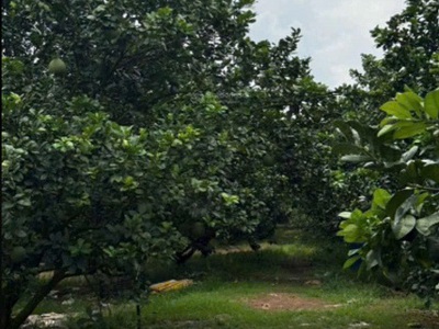 Bán đất thổ cư xã trừ văn thố   gần ql13   giá tốt 2