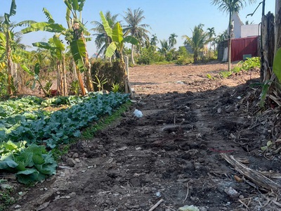 Cơ hội đầu tư / làm nhà vườn siêu đẹp   hợp đức, nam đồ sơn 3