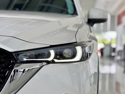 Đừng hỏi em giá xe bao nhiêu - hãy hỏi em có xe kịp chạy Tết không 3