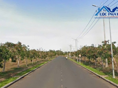 Bán đất skk 13.000m2 kcn châu đức, bà rịa vũng tàu 38,9 tỷ 1