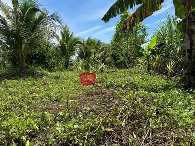 Bán đất rãy tại diên khánh khánh hoà 0