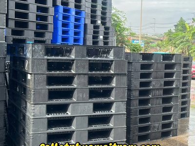Cần Bán Pallet Nhựa: Giá Tốt Sẵn Số Lượng Lớn Bao Vận Chuyển 8