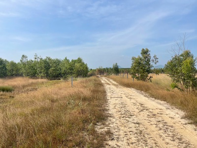 Bán 1009m2 đất khu rừng vàng lagi, lâm đồng gần biển giá ngộp 1.25 tỷ 4