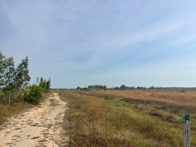 Bán 1009m2 đất khu rừng vàng lagi, lâm đồng gần biển giá ngộp 1.25 tỷ 0