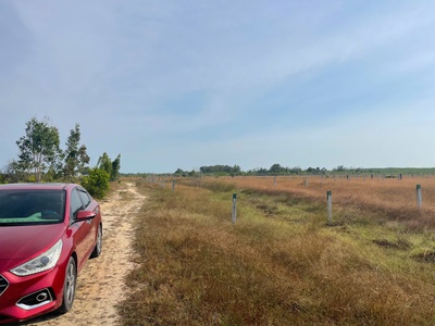 Bán 1009m2 đất khu rừng vàng lagi, lâm đồng gần biển giá ngộp 1.25 tỷ 2