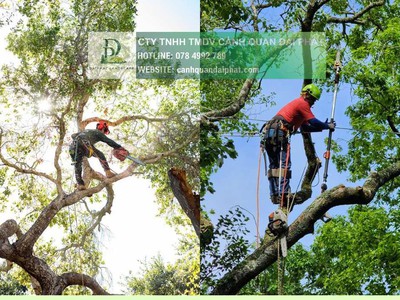 Dịch vụ chăm sóc cây xanh KCN Công nghệ cao TP.HCM 0