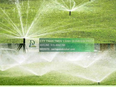 Dịch vụ chăm sóc cây xanh KCN Công nghệ cao TP.HCM 1