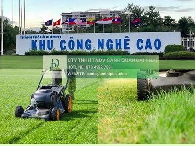 Dịch vụ chăm sóc cây xanh KCN Công nghệ cao TP.HCM 4