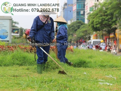 Dịch vụ chăm sóc bảo dưỡng sân vườn Đồng Nai, HCM 0