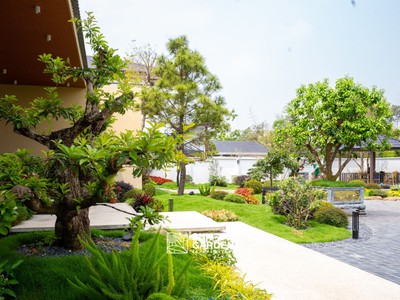 Thi công tiểu cảnh   từ ý tưởng đến không gian sống xanh hoàn chỉnh 1