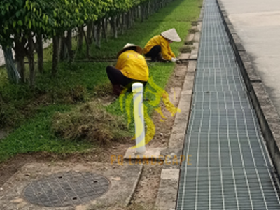 Chăm sóc, vệ sinh sân vườn, cắt cỏ nhà máy ở Đồng Nai 0