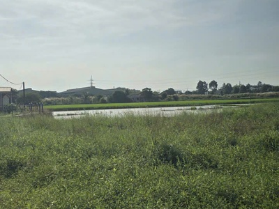  vì sao nhiều gia đình chọn mua đất bến lức để an cư lâu dài  câu trả lời nằm ở lô đất 200m2 này 3