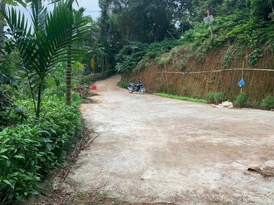 Chính chủ bán siêu phẩm - chưa đến 4 tỷ khu nhà vườn cực đẹp trung tâm thành phố lao cai  cũ 0