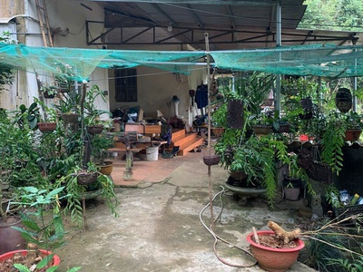 Chính chủ bán siêu phẩm - chưa đến 4 tỷ khu nhà vườn cực đẹp trung tâm thành phố lao cai  cũ 1