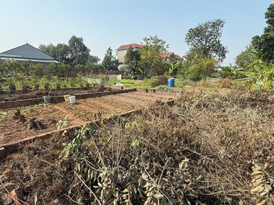 Bán đất giá tốt   hơn 50m    ô tô vào tận đất   cách tỉnh lộ 100m   tài chính chỉ nhỉnh 1 tỷ 3