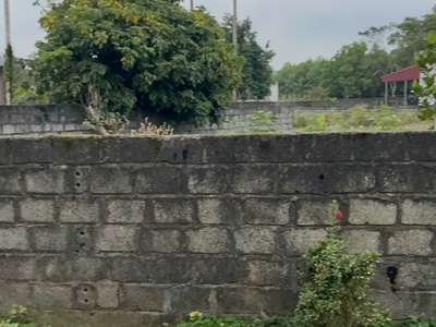 Cơ hội hiếm đầu tư giá f0 chỉ 3xx sẵn sổ, full thổ cư 100 0