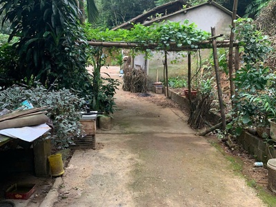 Chính chủ bán siêu phẩm - chưa đến 4 tỷ khu nhà vườn cực đẹp trung tâm thành phố lao cai  cũ 2