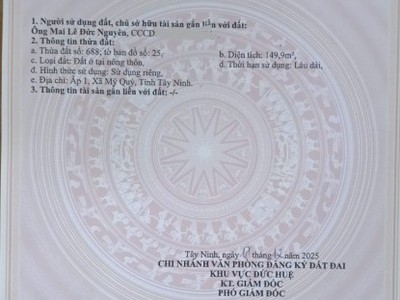 Bán đất chính chủ -  giá tốt - cần bán lô đất vị trí đẹp xã mỹ quý tây, đức huệ, long an  cũ 2