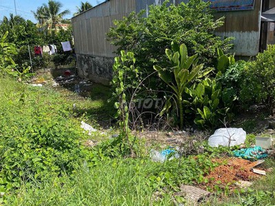 Cơ hội đầu tư đất nền giá tốt tại tháp mười   đồng tháp 1