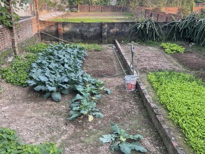 Bán đất phú sơn gia lâm 44,8m giá chỉ 2,5 tỷ - lh 0985865658 1