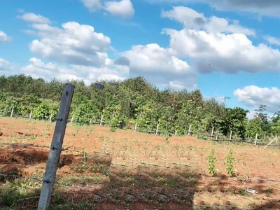 Bán đất bao bìa, giá tốt - xã ia dom - tỉnh gia lai 3