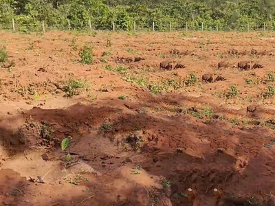 Bán đất bao bìa, giá tốt - xã ia dom - tỉnh gia lai 2