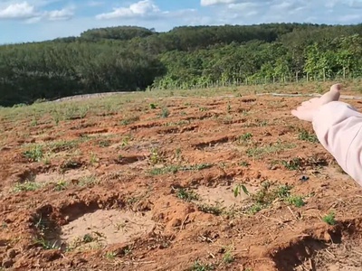 Bán đất bao bìa, giá tốt - xã ia dom - tỉnh gia lai 0
