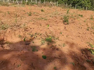 Bán đất bao bìa, giá tốt - xã ia dom - tỉnh gia lai 1