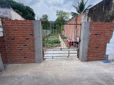 Em cần bán miếng đất đang trồng rau  toạ lạc tại đường số 15e tân hưng . tp bà rịa nay là phường 1