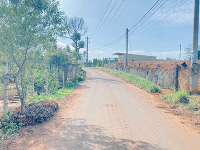 Bán đất hẻm nhựa ql20, phú hội, đức trọng cũ, lâm đồng 1