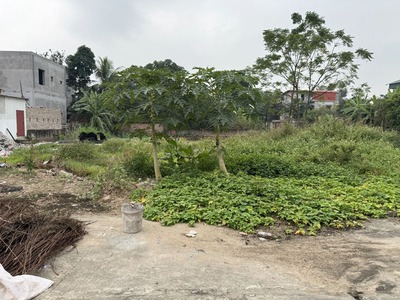 Bán đất khu đấu giá Chi Đông - Lệ Chi 83,7m2, 3 mặt tiền, Đường ô tô tránh, Gần chợ Đê Vàng 3