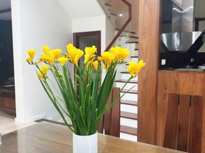 Cho thuê nguyên căn Biệt Thự 150m2 Tố Hữu - Hà Đông, full nội thất đẹp 1