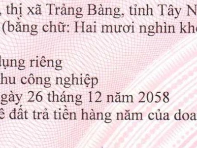 Bán/ cho thuê nhà xưởng   KCN THÀNH THÀNH CÔNG, TN   6.628 m 1