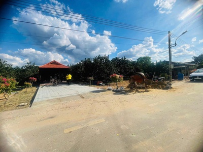  350 Triệu Sở Hữu Đất Mặt Tiền Trừ Văn Thố   Bàu Bàng  0