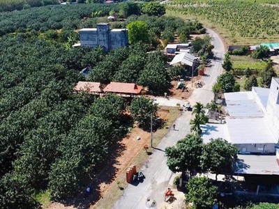 Đất vườn bưởi Trừ Văn Thố   Bàu Bàng, 250m , sổ riêng, giá 950 triệu 5